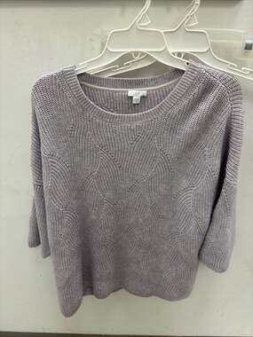 Jjill Sweater Women's Large Oversized Pink‎ Dusty Rose NWT Retails